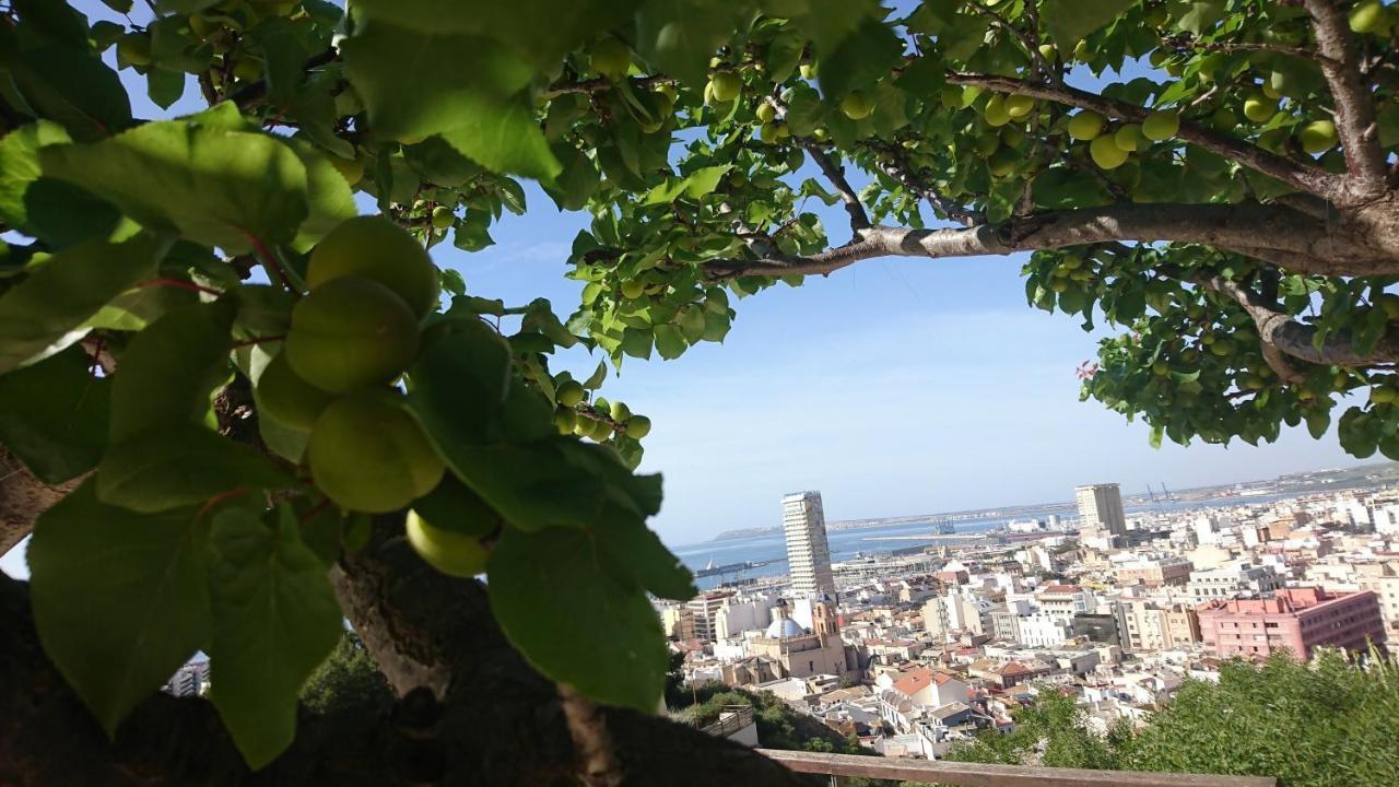 Cerca Playa-Aa-Patio Privado Lejlighed Alicante Eksteriør billede